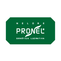 Prancheta 16