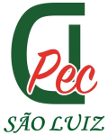 Logo_São_Luiz_semfundo